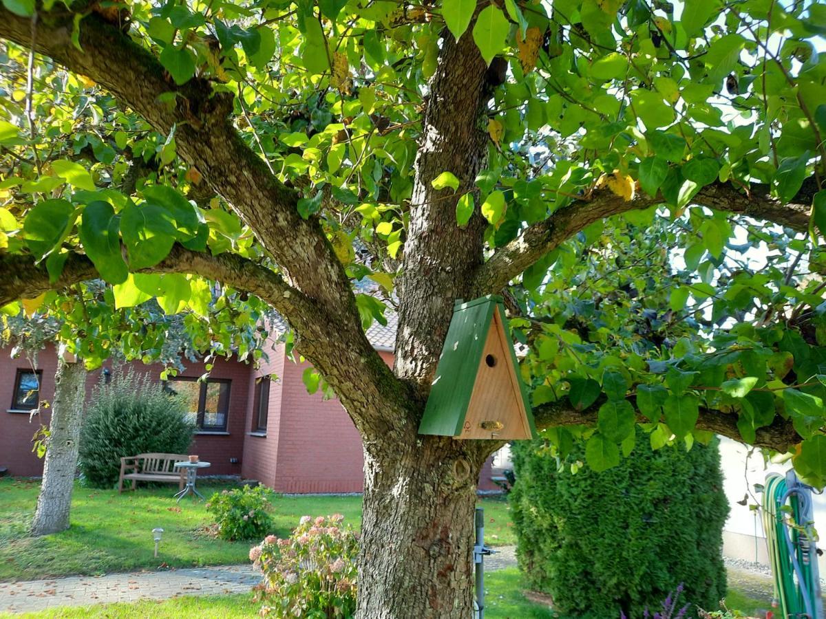 Das Kleine, Gemuetliche Ferienhaus Ludorf Eksteriør bilde